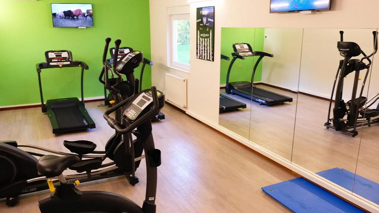 Ibis Styles Charleroi Airport Aero 44 Hotel Belgium